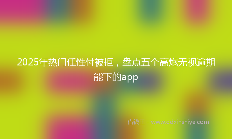 2025年热门任性付被拒，盘点五个高炮无视逾期能下的app