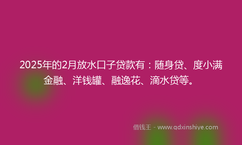 2025年的2月放水口子贷款有：随身贷、度小满金融、洋钱罐、融逸花、滴水贷等。