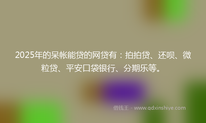2025年的呆帐能贷的网贷有：拍拍贷、还呗、微粒贷、平安口袋银行、分期乐等。