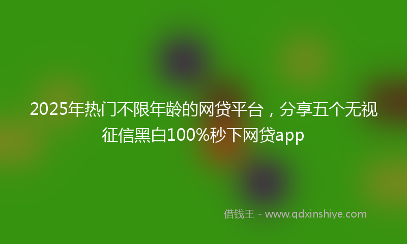 2025年热门不限年龄的网贷平台，分享五个无视征信黑白100%秒下网贷app