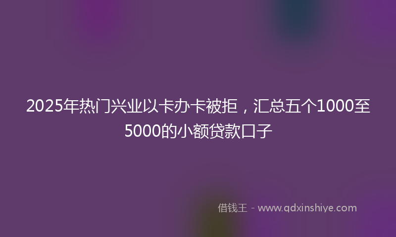 2025年热门兴业以卡办卡被拒，汇总五个1000至5000的小额贷款口子