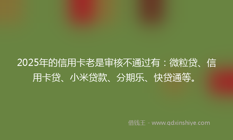 2025年的信用卡老是审核不通过有：微粒贷、信用卡贷、小米贷款、分期乐、快贷通等。