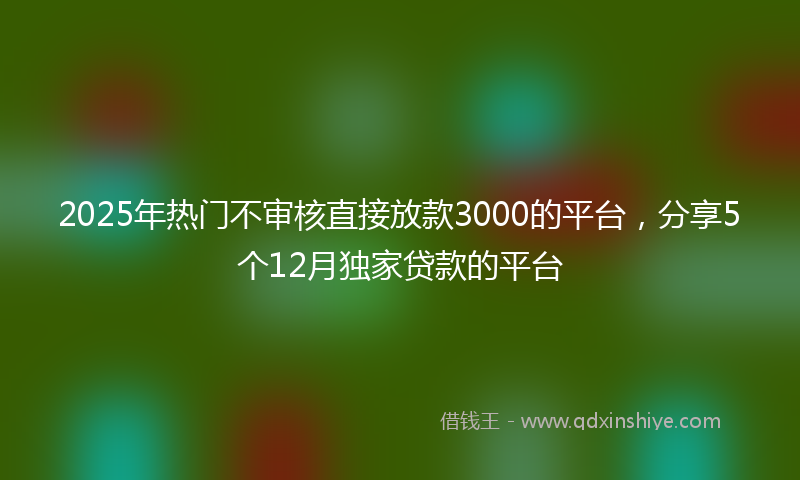 2025年热门不审核直接放款3000的平台，分享5个12月独家贷款的平台