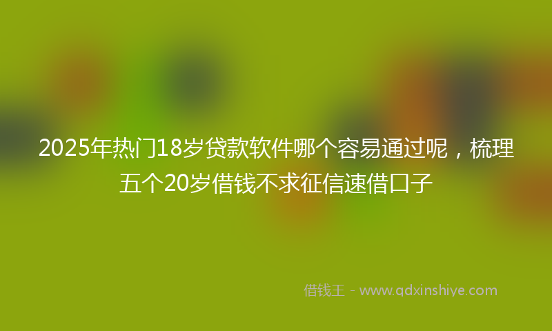 2025年热门18岁贷款软件哪个容易通过呢，梳理五个20岁借钱不求征信速借口子