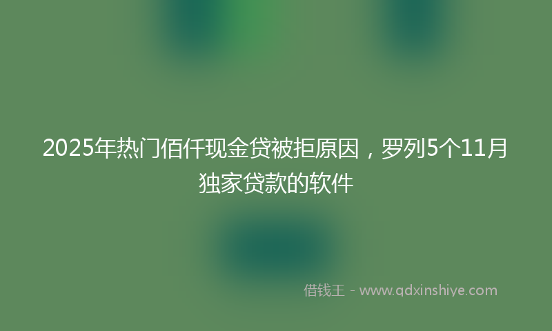 2025年热门佰仟现金贷被拒原因，罗列5个11月独家贷款的软件