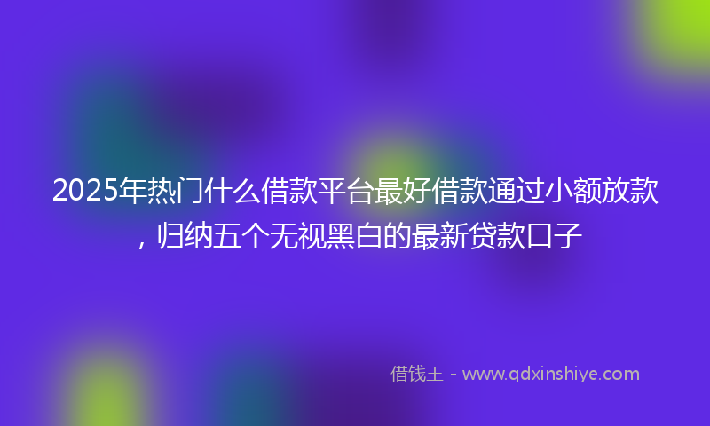 2025年热门什么借款平台最好借款通过小额放款，归纳五个无视黑白的最新贷款口子