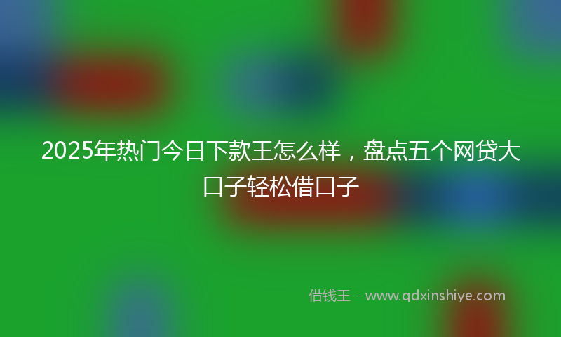 2025年热门今日下款王怎么样，盘点五个网贷大口子轻松借口子