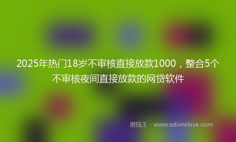 2025年热门18岁不审核直接放款1000，整合5个不审核夜间直接放款的网贷软件