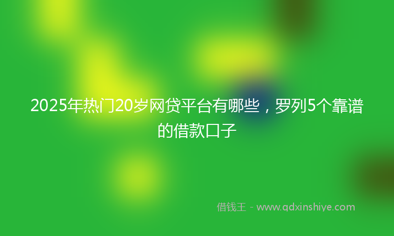 2025年热门20岁网贷平台有哪些，罗列5个靠谱的借款口子