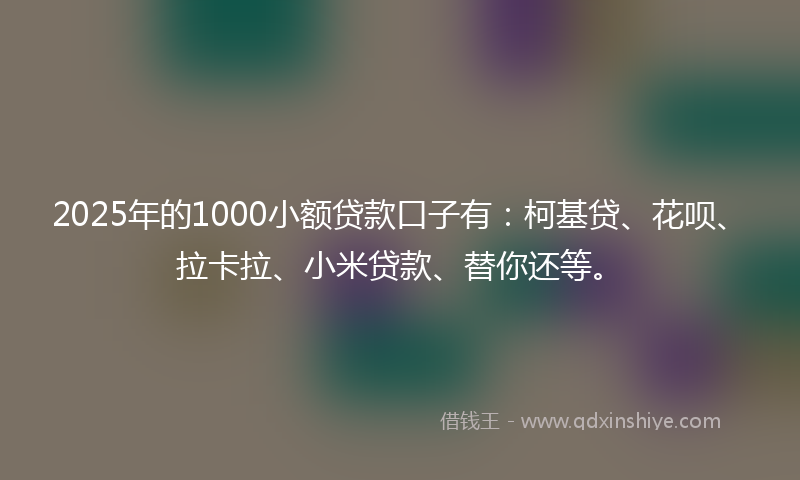 2025年的1000小额贷款口子有：柯基贷、花呗、拉卡拉、小米贷款、替你还等。