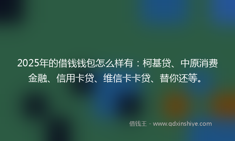 2025年的借钱钱包怎么样有：柯基贷、中原消费金融、信用卡贷、维信卡卡贷、替你还等。