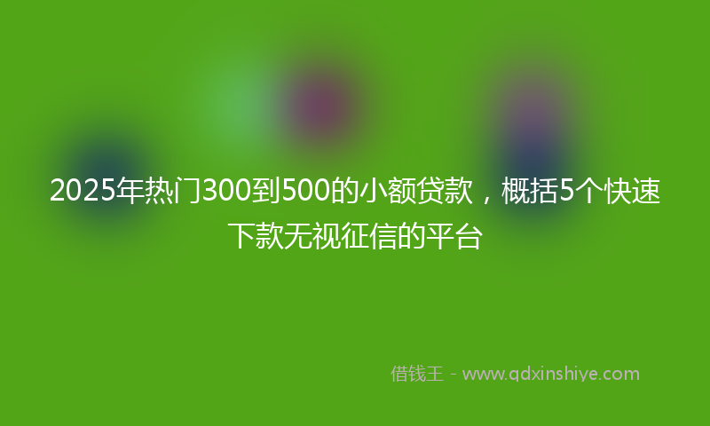 2025年热门300到500的小额贷款，概括5个快速下款无视征信的平台