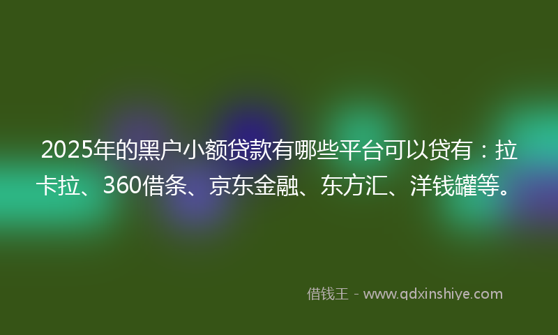 2025年的黑户小额贷款有哪些平台可以贷有：拉卡拉、360借条、京东金融、东方汇、洋钱罐等。