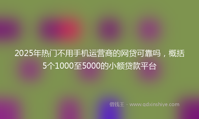 2025年热门不用手机运营商的网贷可靠吗，概括5个1000至5000的小额贷款平台