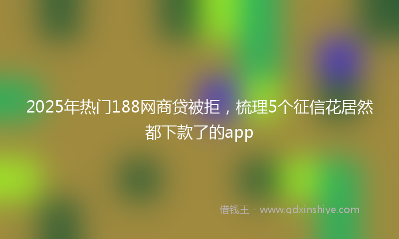 2025年热门188网商贷被拒，梳理5个征信花居然都下款了的app