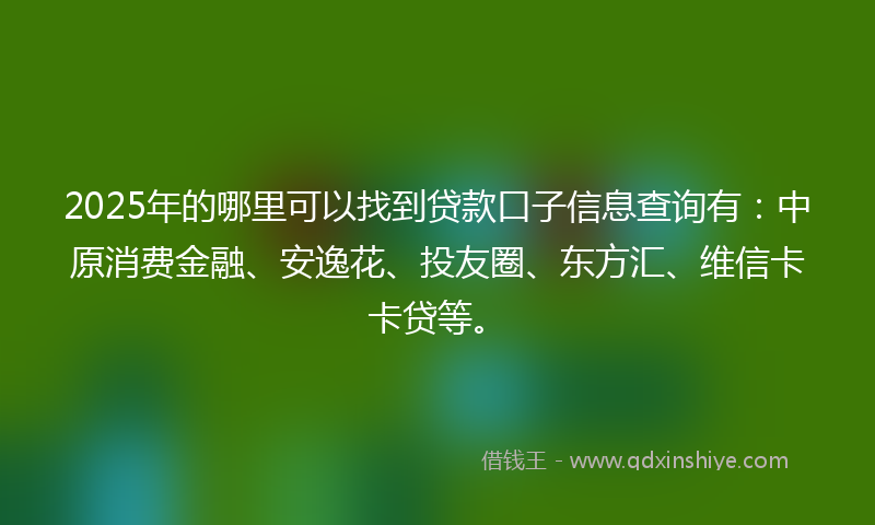 2025年的哪里可以找到贷款口子信息查询有：中原消费金融、安逸花、投友圈、东方汇、维信卡卡贷等。