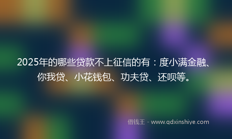 2025年的哪些贷款不上征信的有：度小满金融、你我贷、小花钱包、功夫贷、还呗等。