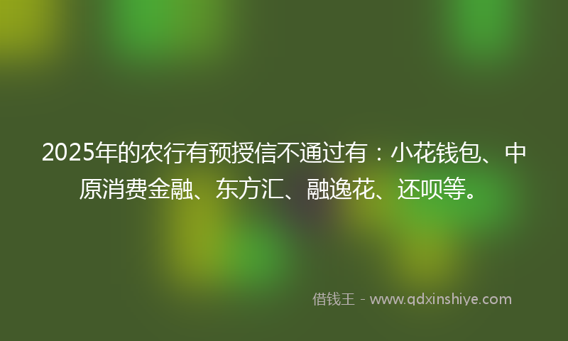 2025年的农行有预授信不通过有：小花钱包、中原消费金融、东方汇、融逸花、还呗等。