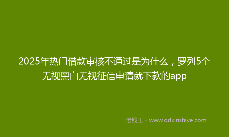 2025年热门借款审核不通过是为什么，罗列5个无视黑白无视征信申请就下款的app