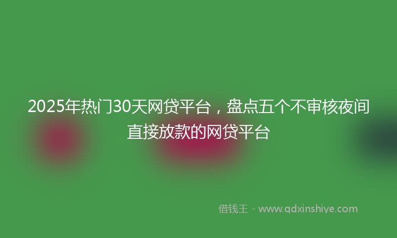 2025年热门30天网贷平台，盘点五个不审核夜间直接放款的网贷平台