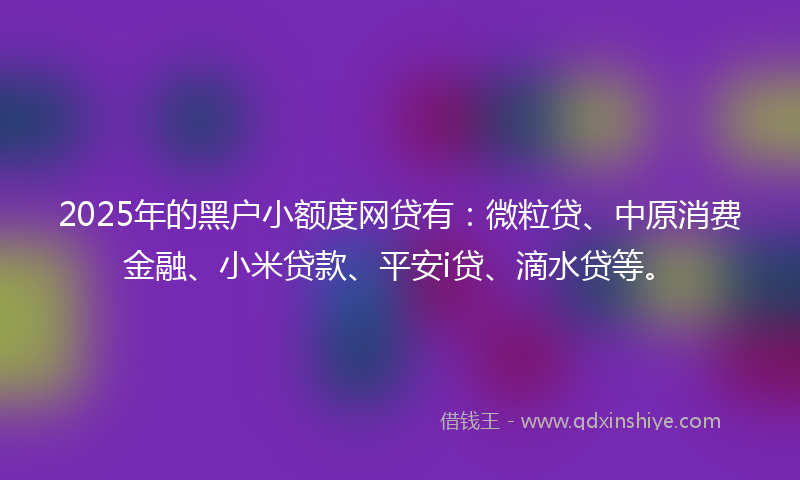 2025年的黑户小额度网贷有：微粒贷、中原消费金融、小米贷款、平安i贷、滴水贷等。