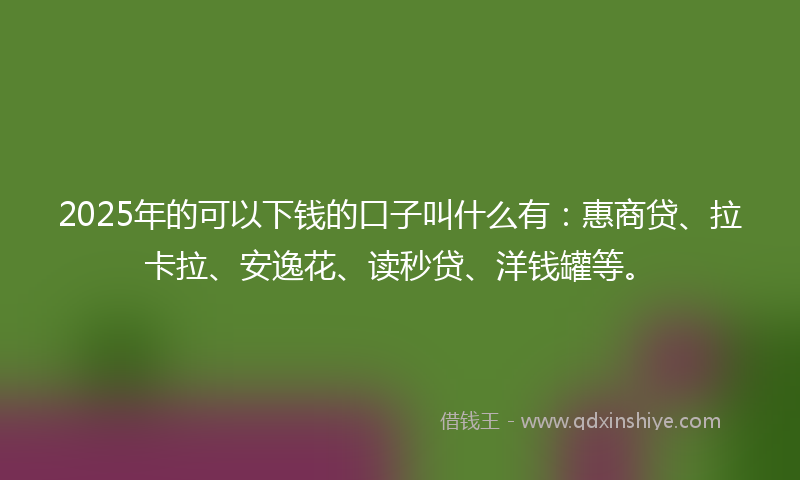 2025年的可以下钱的口子叫什么有：惠商贷、拉卡拉、安逸花、读秒贷、洋钱罐等。