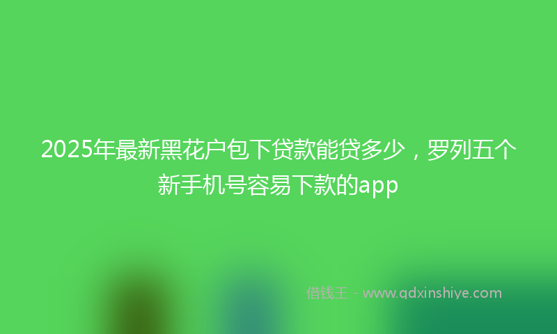 2025年最新黑花户包下贷款能贷多少，罗列五个新手机号容易下款的app