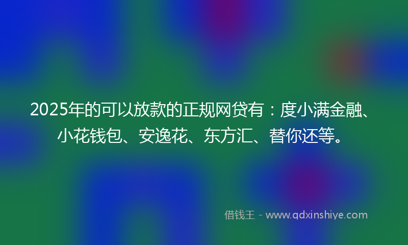 2025年的可以放款的正规网贷有：度小满金融、小花钱包、安逸花、东方汇、替你还等。