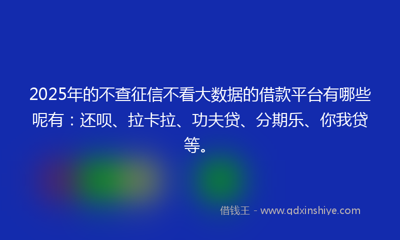 2025年的不查征信不看大数据的借款平台有哪些呢有：还呗、拉卡拉、功夫贷、分期乐、你我贷等。