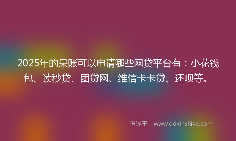 2025年的呆账可以申请哪些网贷平台有：小花钱包、读秒贷、团贷网、维信卡卡贷、还呗等。