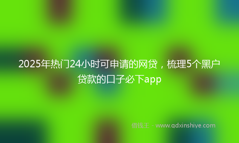 2025年热门24小时可申请的网贷，梳理5个黑户贷款的口子必下app