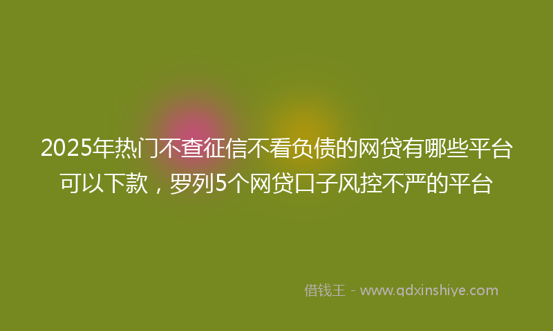 2025年热门不查征信不看负债的网贷有哪些平台可以下款，罗列5个网贷口子风控不严的平台
