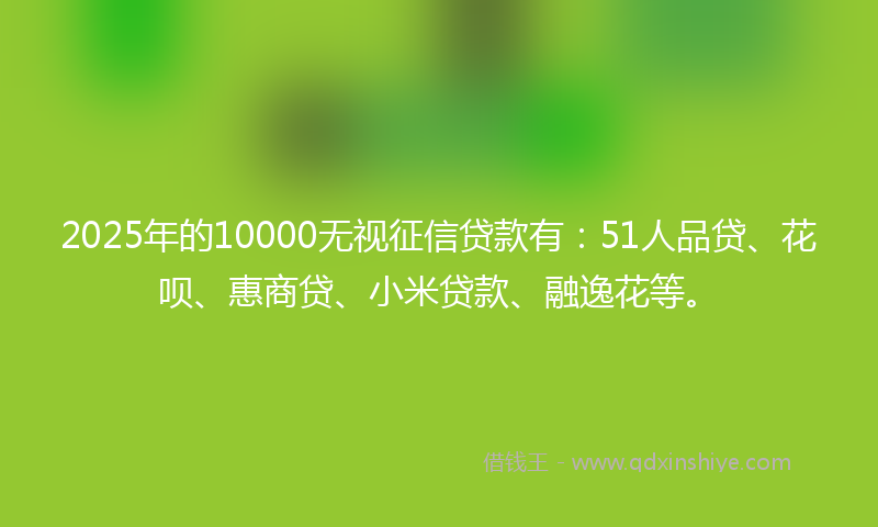 2025年的10000无视征信贷款有：51人品贷、花呗、惠商贷、小米贷款、融逸花等。