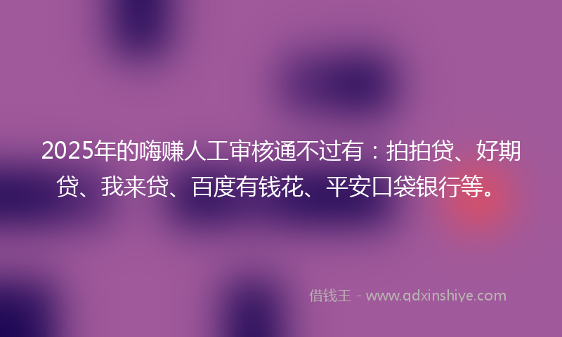 2025年的嗨赚人工审核通不过有：拍拍贷、好期贷、我来贷、百度有钱花、平安口袋银行等。