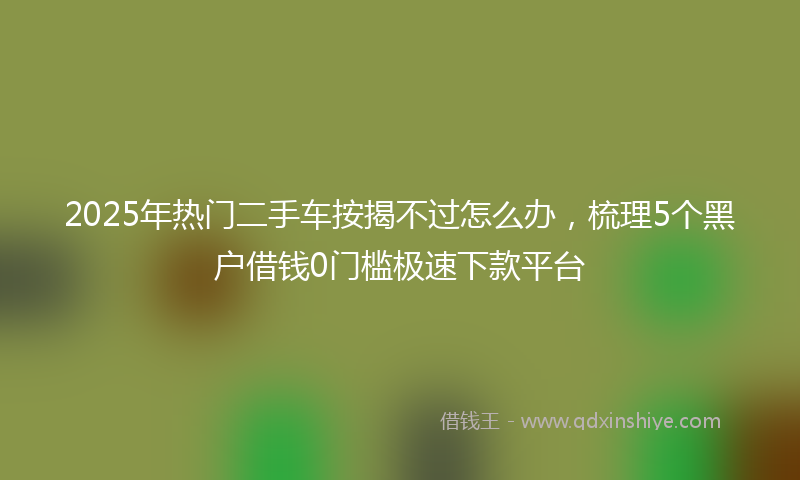 2025年热门二手车按揭不过怎么办，梳理5个黑户借钱0门槛极速下款平台