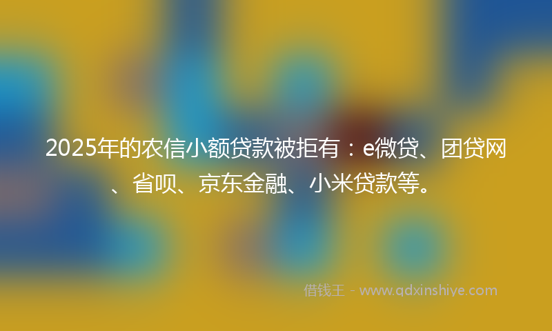 2025年的农信小额贷款被拒有：e微贷、团贷网、省呗、京东金融、小米贷款等。