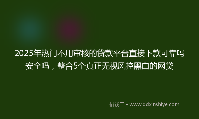 2025年热门不用审核的贷款平台直接下款可靠吗安全吗，整合5个真正无视风控黑白的网贷