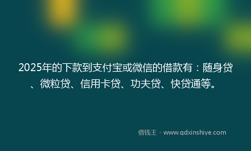 2025年的下款到支付宝或微信的借款有：随身贷、微粒贷、信用卡贷、功夫贷、快贷通等。