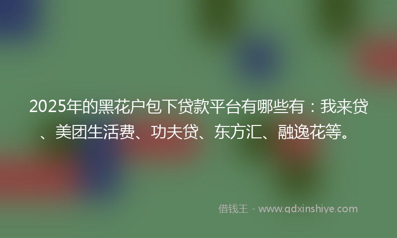 2025年的黑花户包下贷款平台有哪些有：我来贷、美团生活费、功夫贷、东方汇、融逸花等。