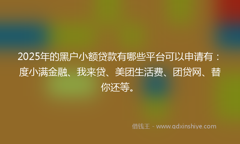 2025年的黑户小额贷款有哪些平台可以申请有：度小满金融、我来贷、美团生活费、团贷网、替你还等。