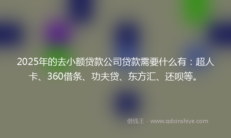 2025年的去小额贷款公司贷款需要什么有：超人卡、360借条、功夫贷、东方汇、还呗等。