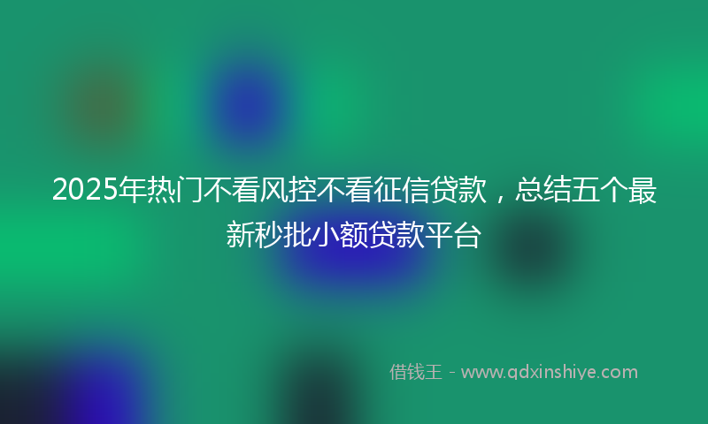 2025年热门不看风控不看征信贷款，总结五个最新秒批小额贷款平台