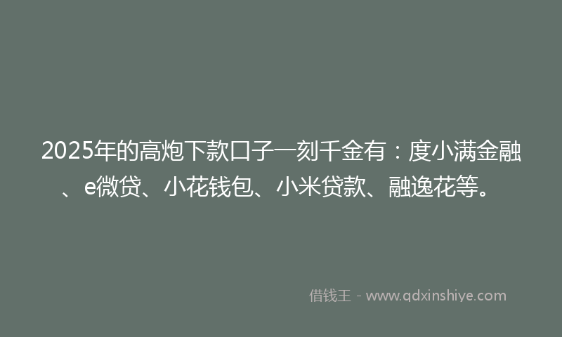 2025年的高炮下款口子一刻千金有：度小满金融、e微贷、小花钱包、小米贷款、融逸花等。