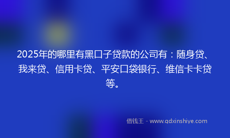 2025年的哪里有黑口子贷款的公司有：随身贷、我来贷、信用卡贷、平安口袋银行、维信卡卡贷等。