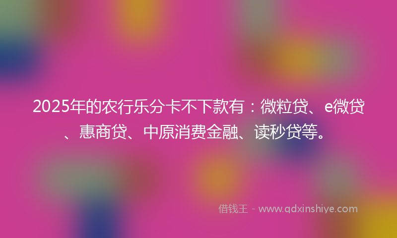 2025年的农行乐分卡不下款有：微粒贷、e微贷、惠商贷、中原消费金融、读秒贷等。