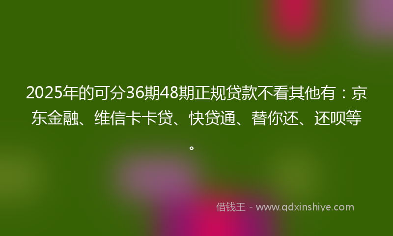 2025年的可分36期48期正规贷款不看其他有：京东金融、维信卡卡贷、快贷通、替你还、还呗等。