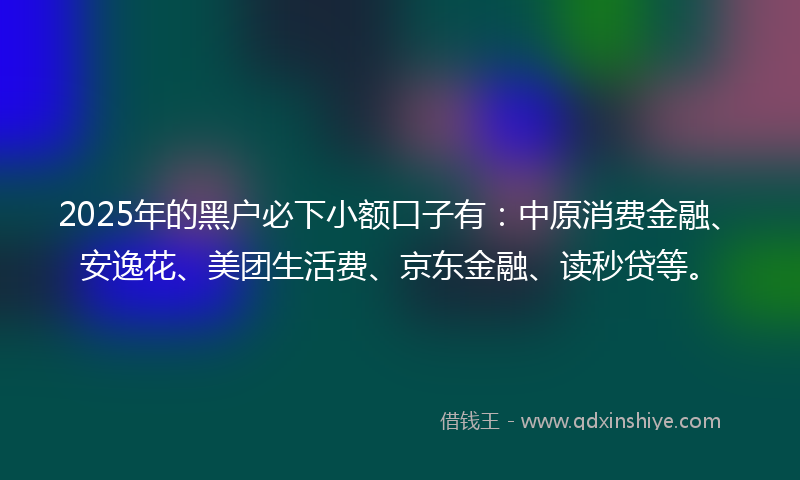 2025年的黑户必下小额口子有：中原消费金融、安逸花、美团生活费、京东金融、读秒贷等。