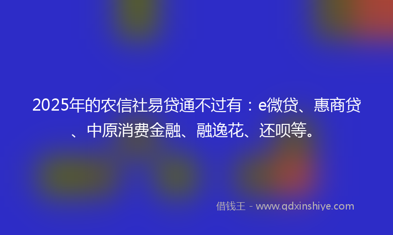 2025年的农信社易贷通不过有：e微贷、惠商贷、中原消费金融、融逸花、还呗等。