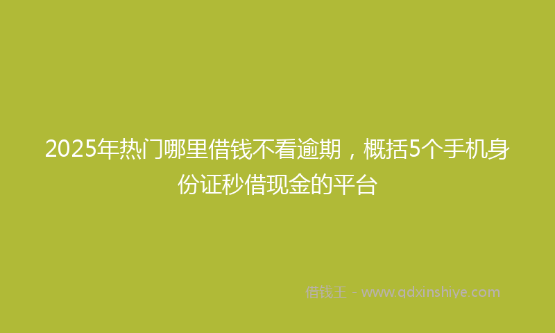 2025年热门哪里借钱不看逾期，概括5个手机身份证秒借现金的平台