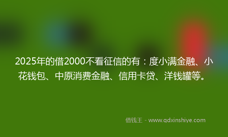 2025年的借2000不看征信的有：度小满金融、小花钱包、中原消费金融、信用卡贷、洋钱罐等。